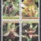 Ciprul Grec 1981 - Orhidee, MNH