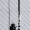 SET CRAP Lanseta 3,90metri WINDBLADE CARP MASTER CAMO +Mulineta AVIATOR 8000