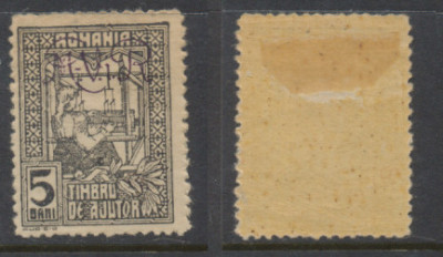 1917 Germania Ocupatia ROMANIA eroare culoare sursarj MViR monogram 5 b. negru foto