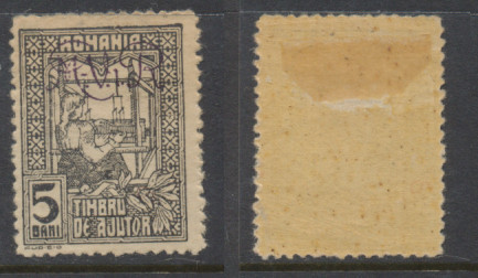 1917 Germania Ocupatia ROMANIA eroare culoare sursarj MViR monogram 5 b. negru