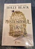 Mostenitorul furat Holly Black