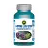 Somn Linistit 60 capsule Hypericum, Hypericum Plant