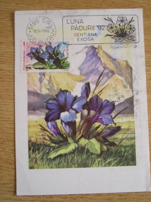 C12 - maxima Romania - tematica flora 5 - prima zi a emisiunii sau expozitii foto