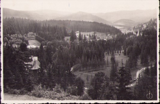 CP436 Băile Borsec carte poștală