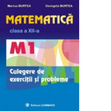 Matematica M1. Clasa a XII-a. Culegere de exercitii si probleme