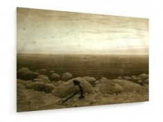 Tablou pe panza (canvas) - Caspar David Friedrich - Stony beach - ca. 1818... foto