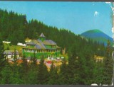 CPI B14143 CARTE POSTALA - MASIVUL RARAU. CABANA RARAU