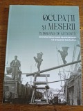 Ocupatii si meserii in Romania de altadata - Oana Ilie, 2024, stare buna / R8P2S