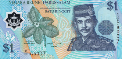 Brunei, 1 Ringgit 1996 (polimer), necirculata foto