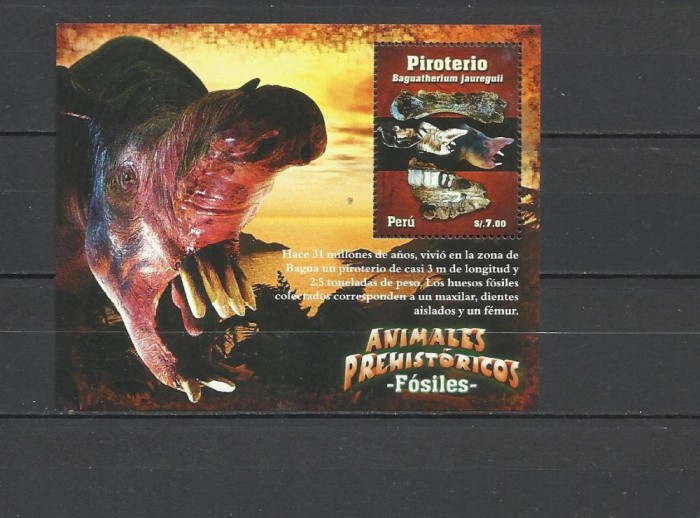 PERU 2009 ANIMALE PREISTORICE DINOZAURI FOSILE