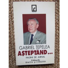 Gabriel Tepelea - Asteptand...(1997)