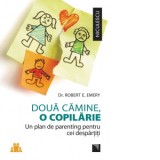 Doua camine, o copilarie. Un plan de parenting pentru cei despartiti - Robert E. Emery