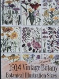1914 Vintage Botany. Botanical Illustration Sizes, vol. 5 - C. Anders
