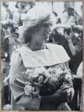 Printesa Diana// fotografie de presa