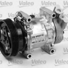 Compresor clima / aer conditionat RENAULT SYMBOL I (LB0/1/2) (1998 - 2008) VALEO 699218