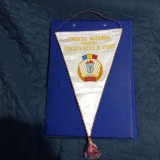 Fanion Consiliul National ptr. Educatie Fizica si Sport