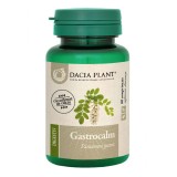 Gastrocalm, 60 comprimate, Dacia Plant