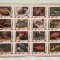UMM AL QIWAIN 1972, FAUNA MARINĂ - BLOC MNH, IMPERF.
