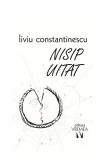 Nisip uitat - Paperback - Liviu Constantinescu - Vremea, 2021