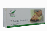 TRIBULUS TERRESTRIS 30CPS, Medica