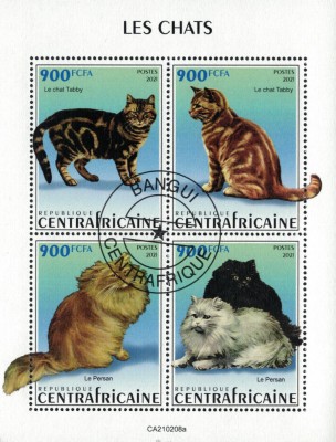 AFRICA CENTRALA 2021 - Fauna, Pisici / colita foto