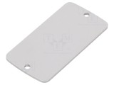 Panou Anterior Aluminiu 30.8mm x 59.9mm x 2mm