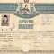 HST PM34 Diplomă de bacalaureat 1943 București Liceul Negoescu