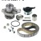 SKF VKMC 01279-1 Set pompa apa + curea dintata