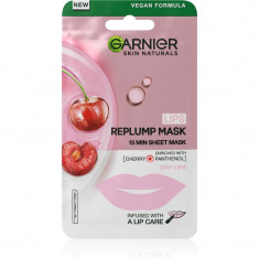 Garnier Skin Naturals Lips Replump Mask masca anti-riduri de buze 5 g