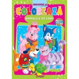 Animalele de casă (Descoperă şi colorează). Bestseller. Editia a 3-a