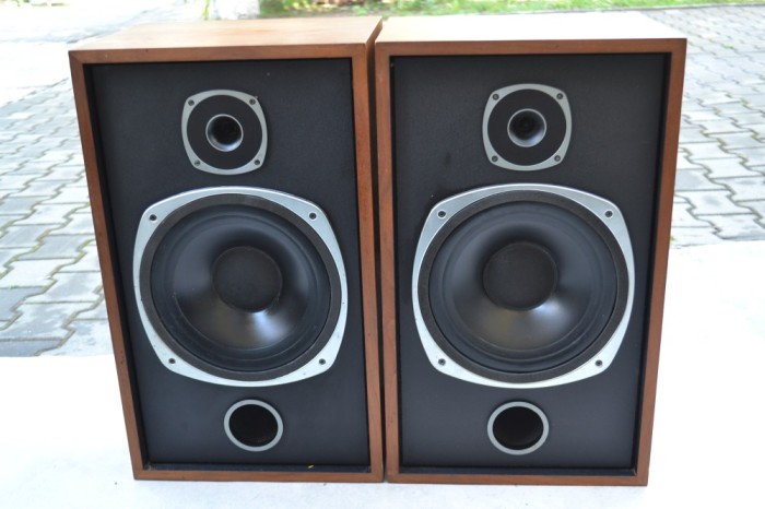 Boxe Tannoy T125