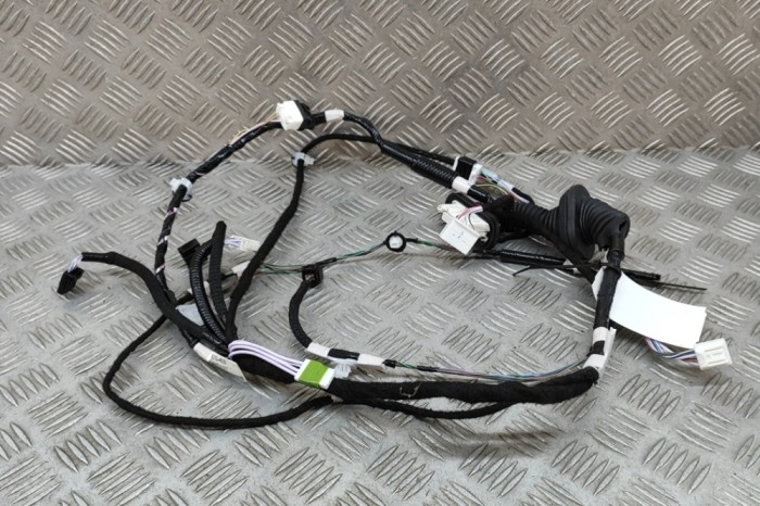 Cablaj ușă dreapta spate LEXUS RX _LA1_, _LH1_ 2023 OEM: 82153-48320 27524883
