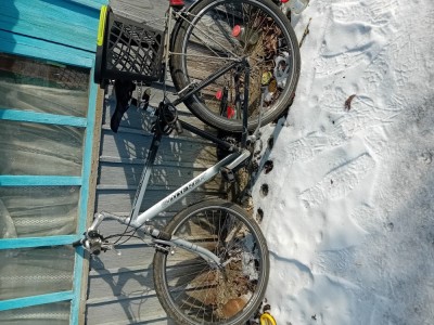 de vanzare bicicleta foto