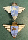 Insigna aviatie militara regalista Flotila de lupta regimentala ambele variante