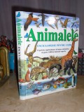 ANIMALELE * ENCICLOPEDIE PENTRU COPIII , 1.000 DE ILUSTRATII , FLAMINGO , 2004 *