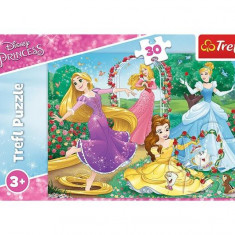Puzzle 30 piese „Prințese Disney în Grădina Palatului”