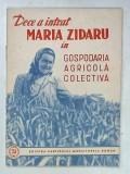 DE CE A INTRAT MARIA ZIDARU IN GOSPODARIA AGRICOLA COLECTIVA , 1950