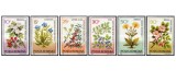 Romania 1993 - plante medicinale, serie neuzata