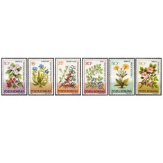 Romania 1993 - plante medicinale, serie neuzata