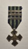 Crucea Comemorativa 1916 1918 cu Baretele Targul Ocna, Ardeal si Carpati