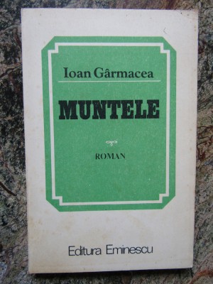 Ioan Garmacea - Muntele foto