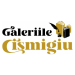 galeriilecismigiu